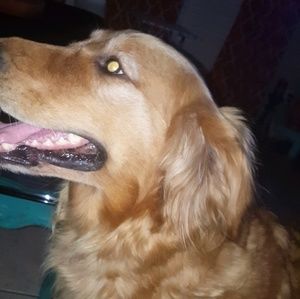 Meet your Posher, Sloan